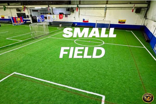 RENT A FIELD - Image 3